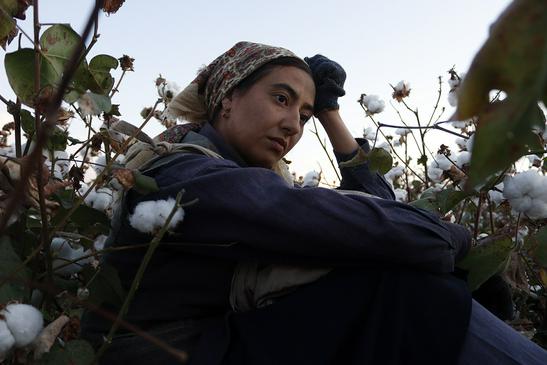 To Live Despite All Hardship